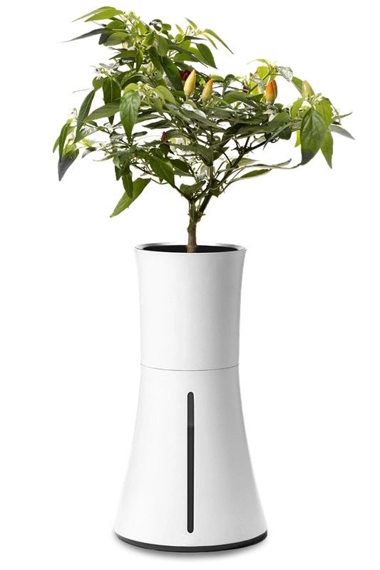 Botanium hydroponisk potte - Tek.no